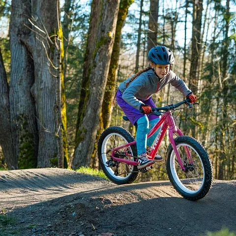Hollingsworth Cycles