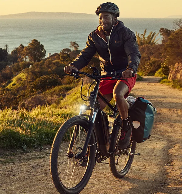 Electric bike category
